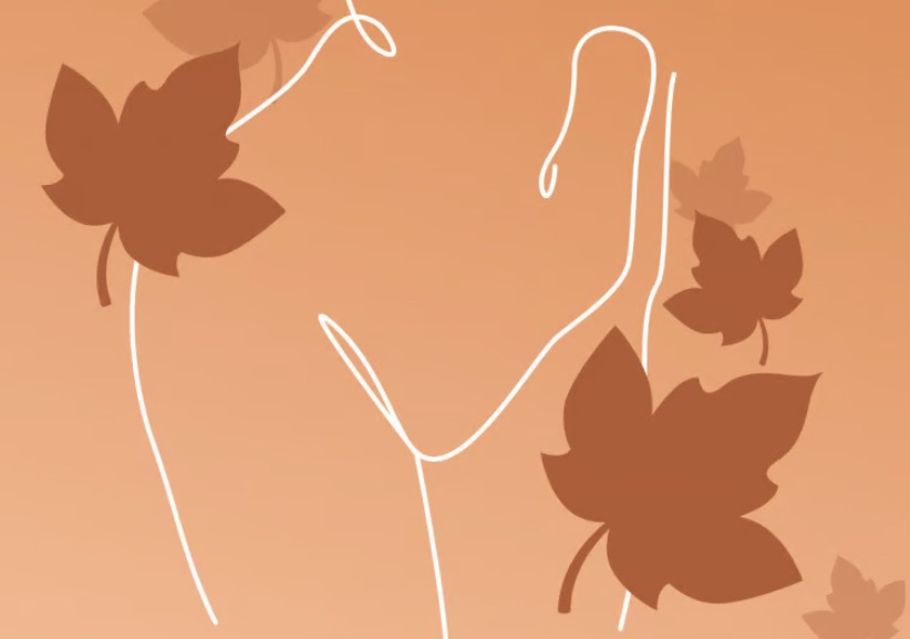 10 Adult Toy Brands Women Actually Trust